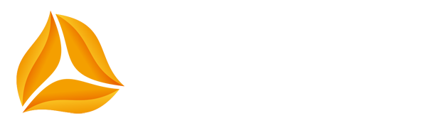 新球体育